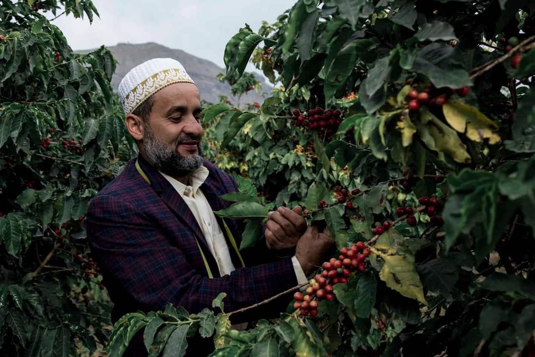 Birthplace of Arabic Coffee